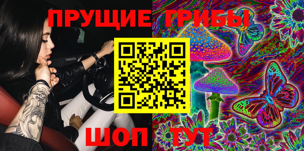 Мирный  Псилоцибиновые грибы Cubensis  Вход с VPN  Псилоцибиновые грибы мухоморы 
