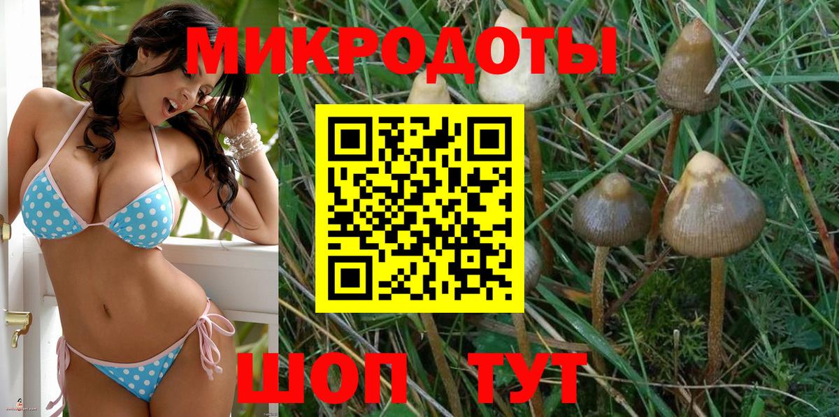 Галлюциногенные грибы Psilocybe Мирный